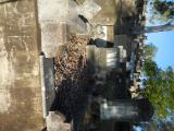 image of grave number 759903